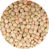 Lentils