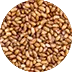 Teff