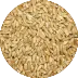 Wheat