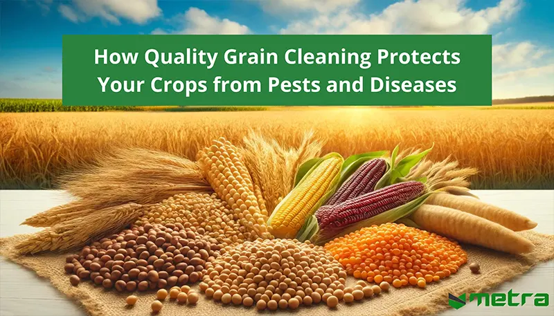 How Quality Grain Cleaning Protects Your Crops from Pests and Diseases