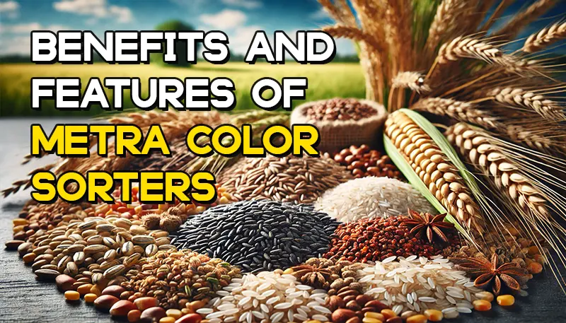 Metra Optical Color Sorters: Enhancing Grain Quality with Precision Technology