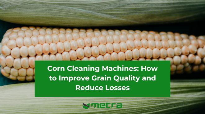 Corn Cleaning Machines: How to Improve Grain Quality and Reduce Losses
