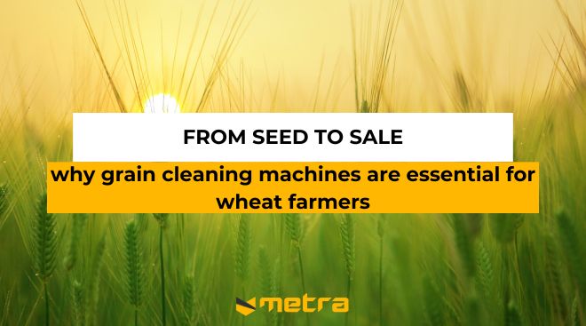 From Seed to Sale: Why Grain Cleaning Machines Are Essential for Wheat Farmers