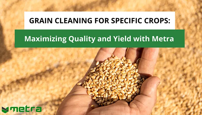 Grain Cleaning For Specific Crops: Maximizing Quality And Yield