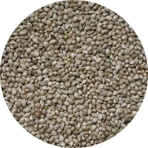 After cleaning. Seeds