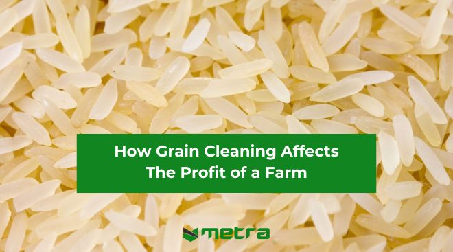 How Grain Cleaning Affects Farm Profitability