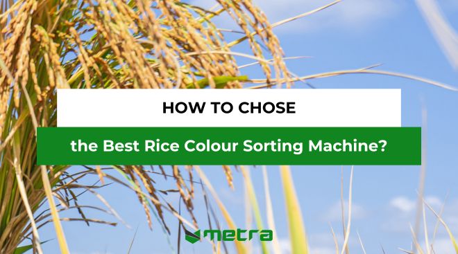 How to choose the best rice color sorting machine?